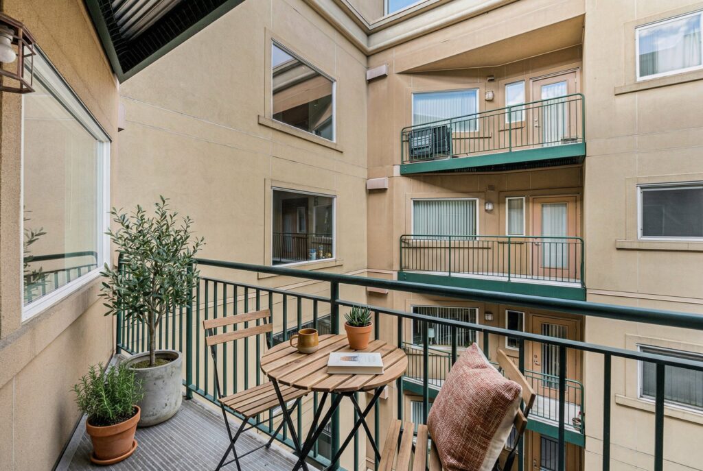 bonavista-1772481307241